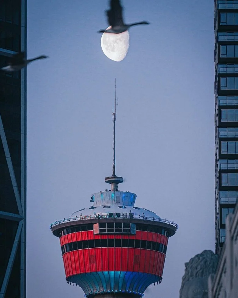 Случайные шедевры: 30 кадров, от которых невозможно не улыбнуться животные, природа, фотографии, курьёзы, смешное, подборка, позитив