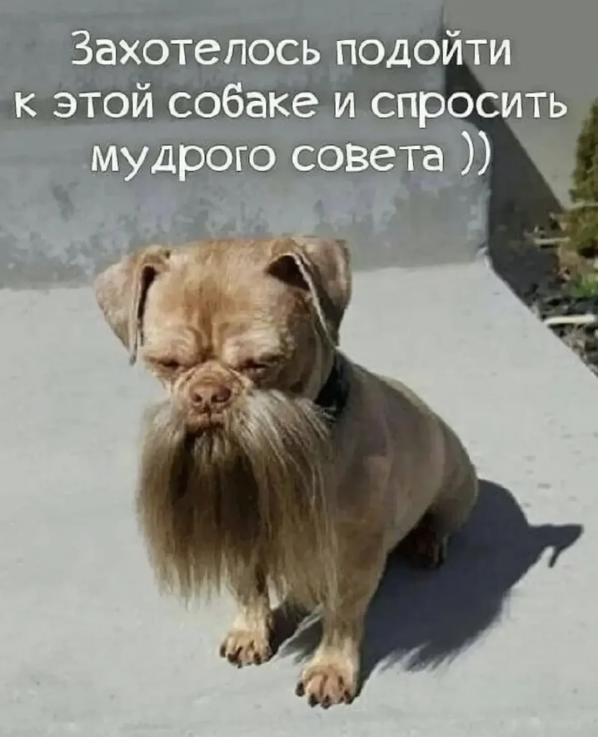 Смешные картинки за неделю и нервные клетки смешные картинки, мемы, юмор, подборка, позитив
