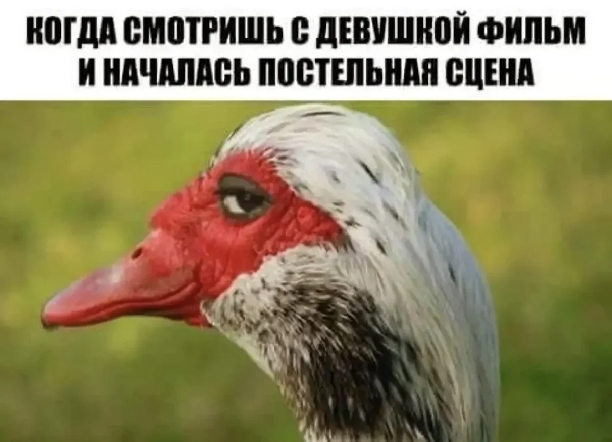 Смешные картинки за неделю и нервные клетки смешные картинки, мемы, юмор, подборка, позитив