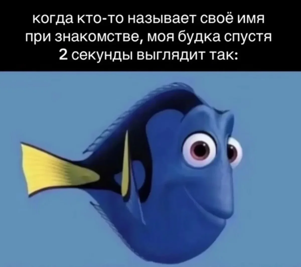 Смешные картинки за неделю и нервные клетки смешные картинки, мемы, юмор, подборка, позитив