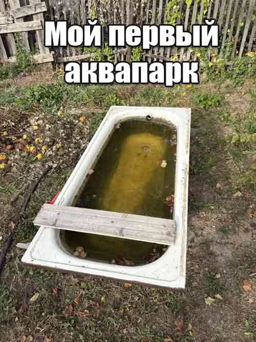 Смехотерапия на понедельник: 14 картинок для поднятия настроения Смехотерапия на понедельник: 14 картинок для поднятия настроения мемы, юмор, картинки, понедельник, смехотерапия