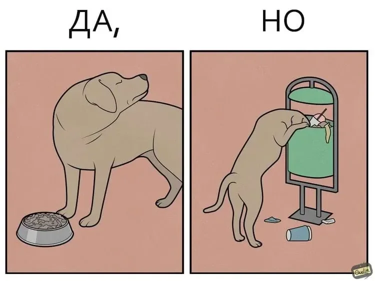 17 комиксов, где у каждого плюса есть минус комиксы, юмор, Gudim, иллюстрации, ирония, подборка