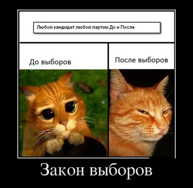 Когда скрип в доме — это не ремонт, а призрак Когда скрип в доме — это не ремонт, а призрак привидение, странные звуки, дом, ремонт, юмор, картинки, подборка, мистика