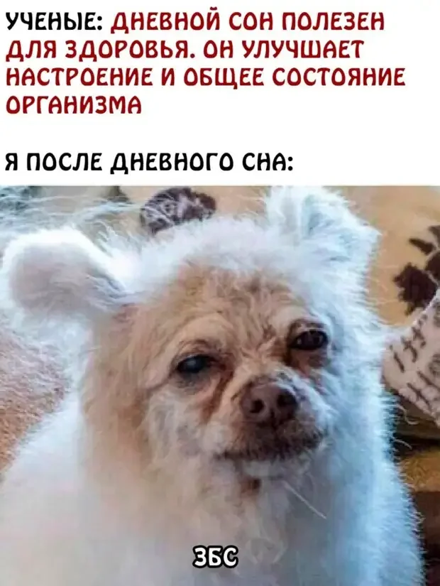 Хорошо, что тогда не было денег: эскизы тату из универа татуировки, эскизы, юмор, подборка, картинки, ностальгия