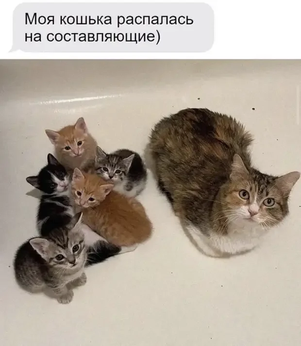 Хорошо, что тогда не было денег: эскизы тату из универа татуировки, эскизы, юмор, подборка, картинки, ностальгия