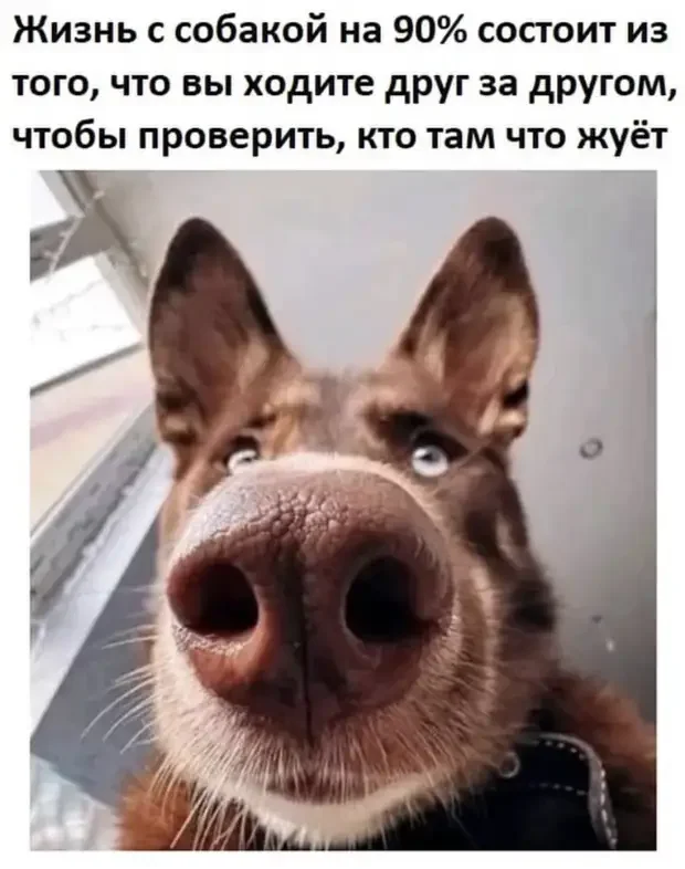 Хорошо, что тогда не было денег: эскизы тату из универа татуировки, эскизы, юмор, подборка, картинки, ностальгия