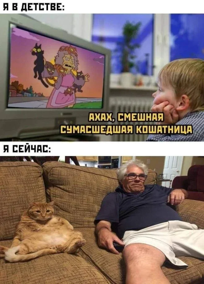 Смешные картинки на 27 октября: юмор и финансовая грамотность мемы, юмор, картинки, 27 октября, финансовая грамотность