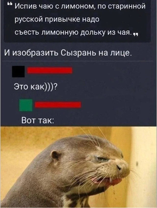 Пять минут, которые вы не забудете Пять минут, которые вы не забудете мемы, юмор, подборка, картинки, отдых