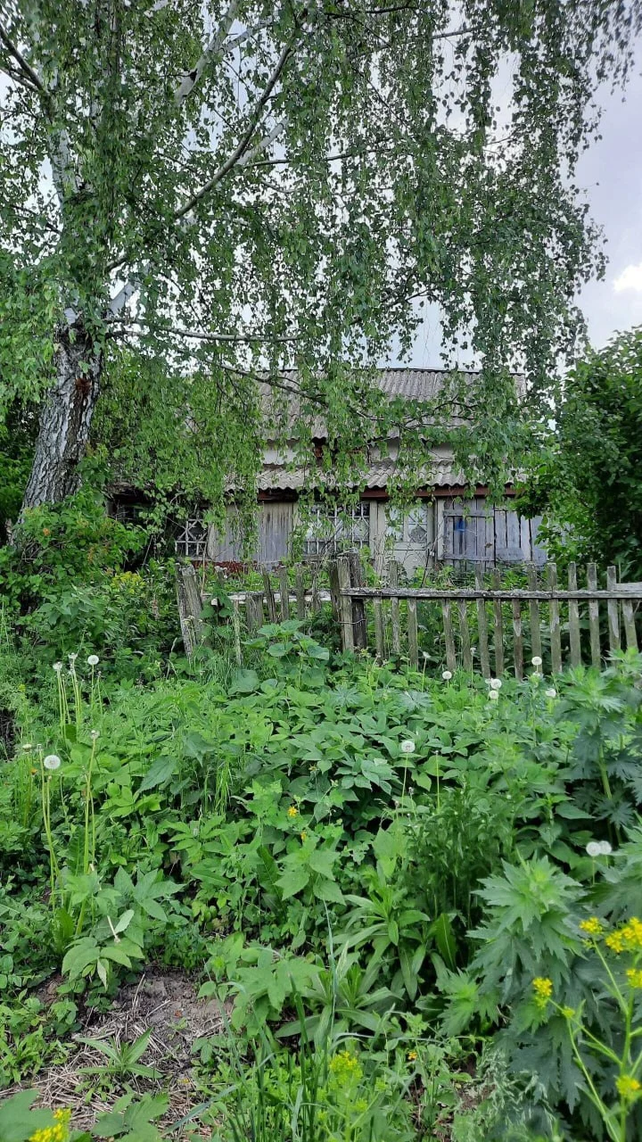 Завораживающие пейзажи России Завораживающие пейзажи России природа, россия, пейзажи, фото, реки, озера, горы