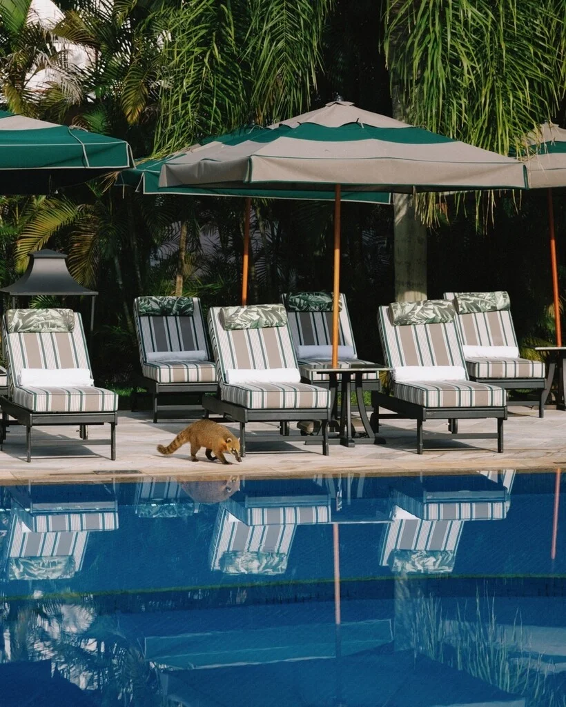 Ночлег у «Глотки дьявола»: отель, где водопад за стеной Hotel das Cataratas, Игуасу, Бразилия, отели, путешествия, природа, люкс