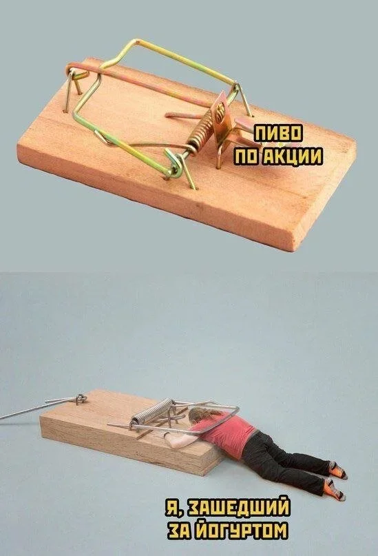 Осенние мемы на 28 октября: улыбнись! мемы, юмор, картинки, осень, подборка
