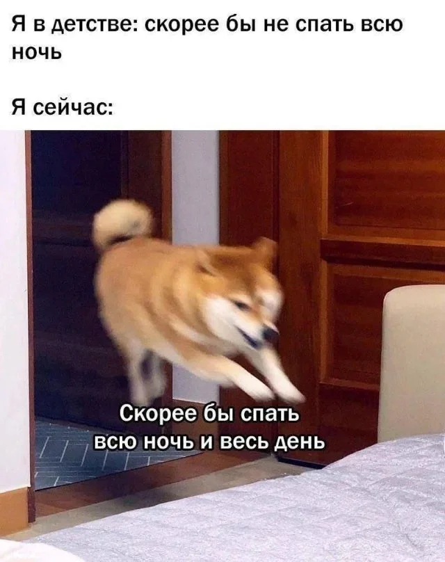 Осенние мемы на 28 октября: улыбнись! мемы, юмор, картинки, осень, подборка