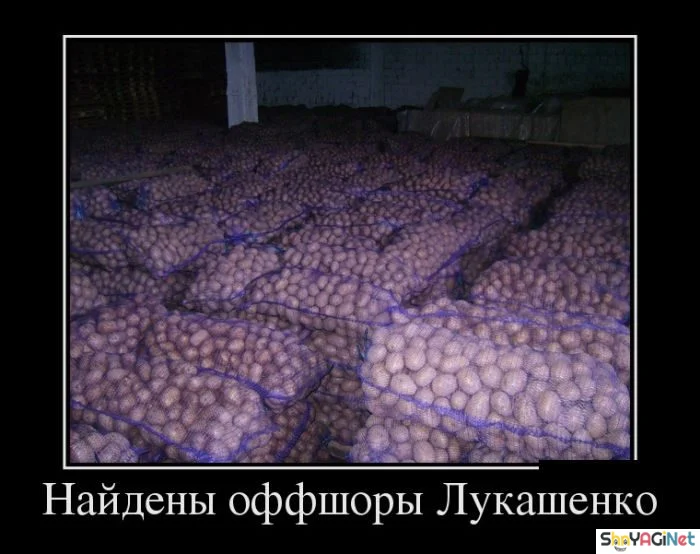 Демотиваторы, которые поднимут настроение демотиваторы, юмор, картинки, позитив
