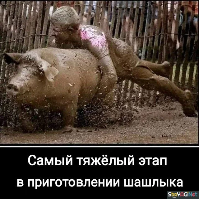 Демотиваторы, которые поднимут настроение демотиваторы, юмор, картинки, позитив