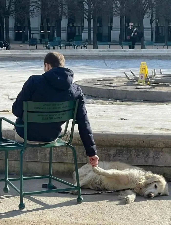 Моменты, которые не придумаешь нарочно Моменты, которые не придумаешь нарочно фотографии, подборка, случайности, юмор, животные