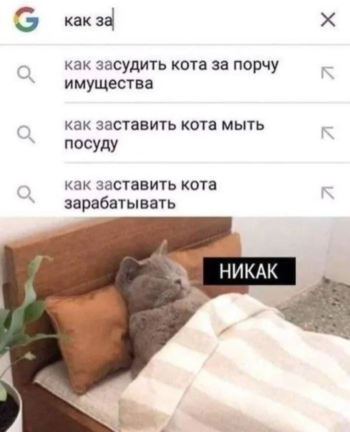 Концентрат веселья: мемы, от которых стресс сбежит Концентрат веселья: мемы, от которых стресс сбежит мемы, юмор, приколы, подборка, позитив
