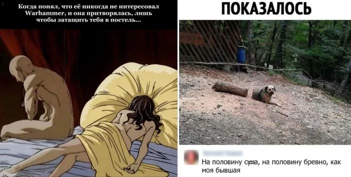 Концентрат веселья: мемы, от которых стресс сбежит