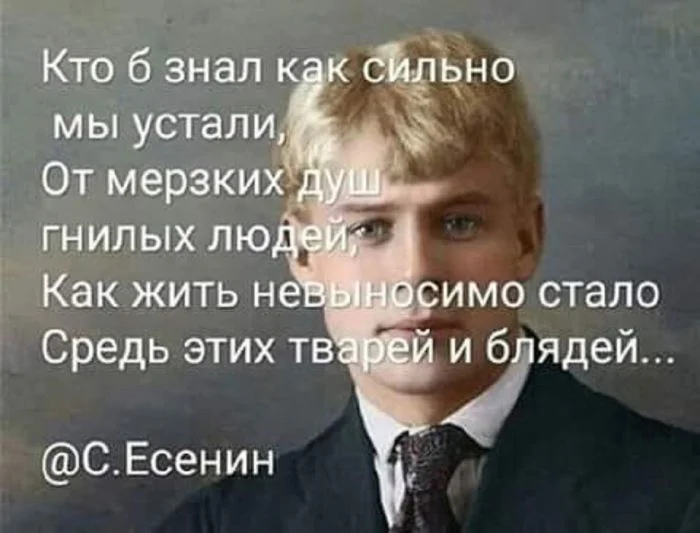 Концентрат веселья: мемы, от которых стресс сбежит Концентрат веселья: мемы, от которых стресс сбежит мемы, юмор, приколы, подборка, позитив