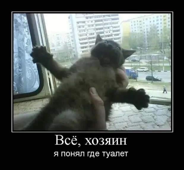 Когда денег нет, а жить надо