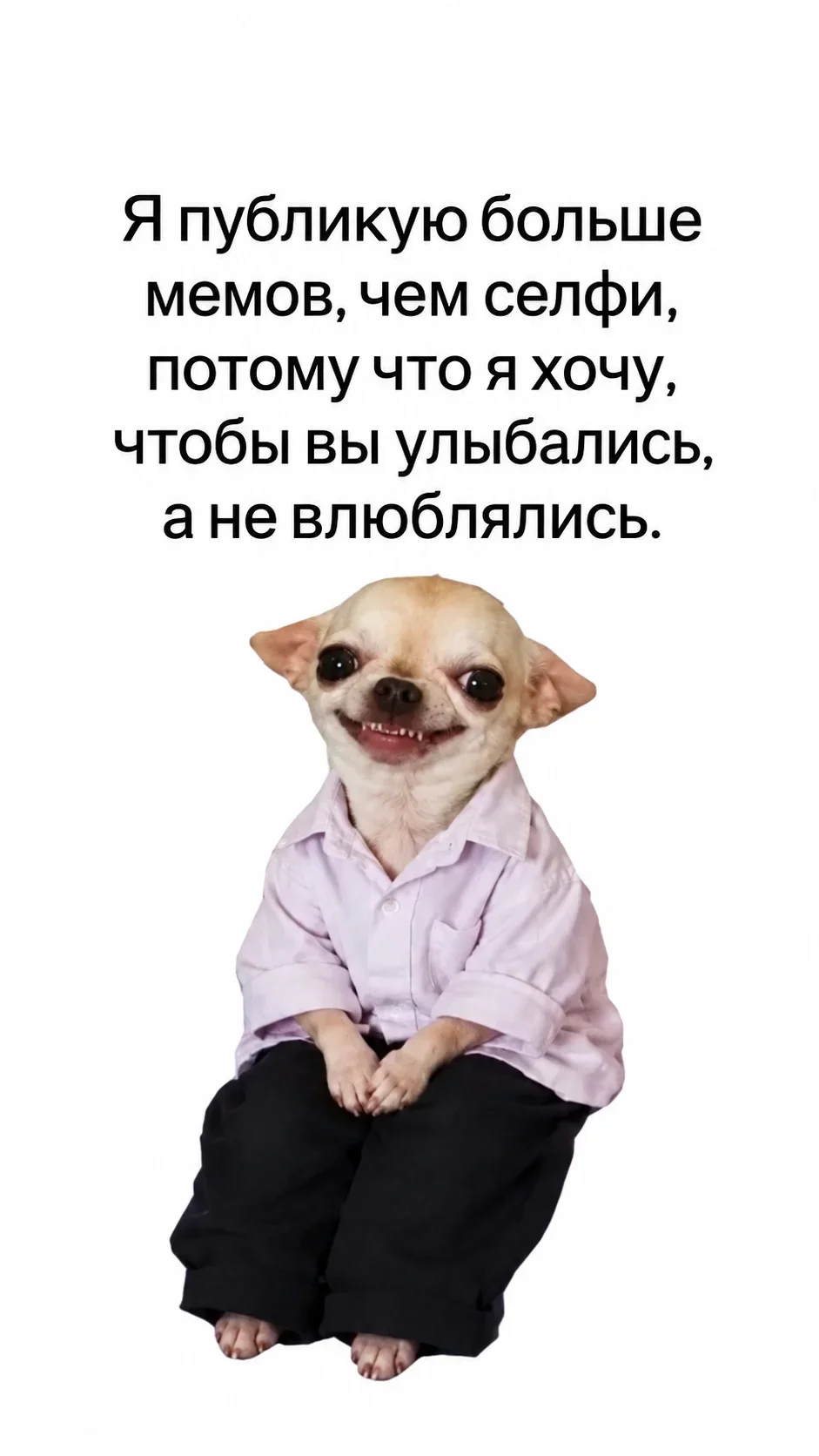 Улыбнись перед выходными: свежая порция мемов Улыбнись перед выходными: свежая порция мемов мемы, юмор, картинки, пятница, позитив