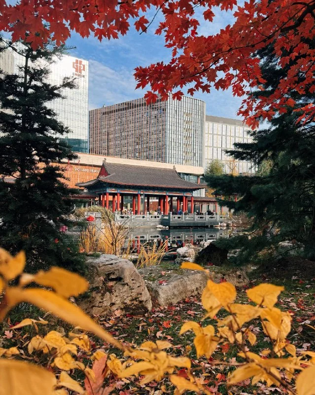 Где искать осень в Москве Где искать осень в Москве осень, Москва, парки, прогулки, фото, достопримечательности, Коломенское, Сокол, Архангельское