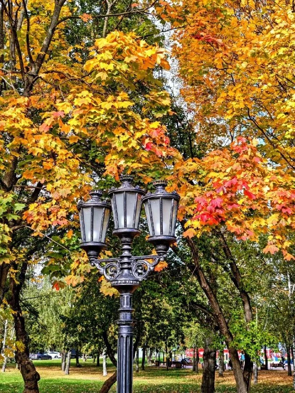Где искать осень в Москве Где искать осень в Москве осень, Москва, парки, прогулки, фото, достопримечательности, Коломенское, Сокол, Архангельское