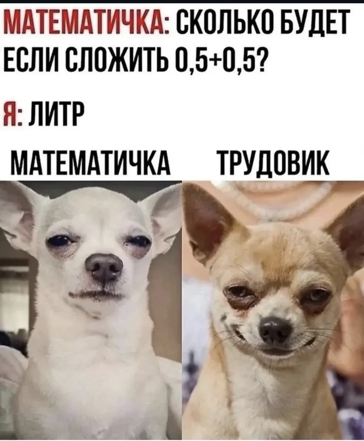 Хитрая девочка и порция смешных картинок юмор, мемы, картинки, смешное