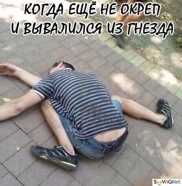 Пьяные приколы: суперская коллекция! пьяные приколы, алкоголь, юмор, картинки, подборка