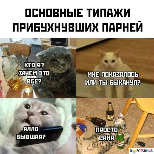 Пьяные приколы: суперская коллекция! пьяные приколы, алкоголь, юмор, картинки, подборка
