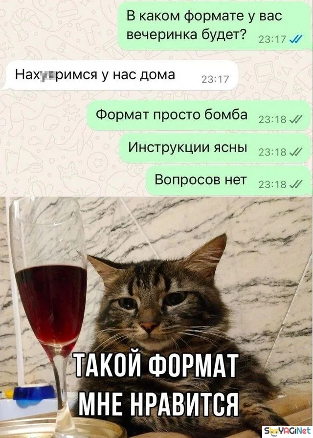 Пьяные приколы: суперская коллекция! пьяные приколы, алкоголь, юмор, картинки, подборка