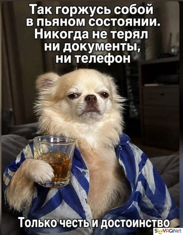 Пьяные приколы: суперская коллекция! пьяные приколы, алкоголь, юмор, картинки, подборка